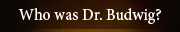 Who was Dr. Budwig?